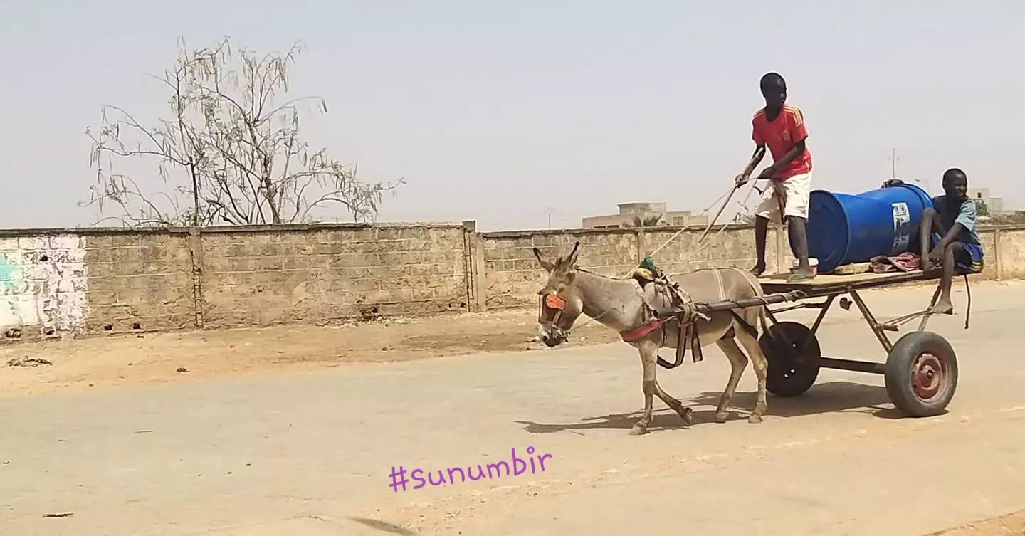 276999699 4872889592758242 4700533035570894518 n