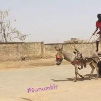 276999699 4872889592758242 4700533035570894518 n