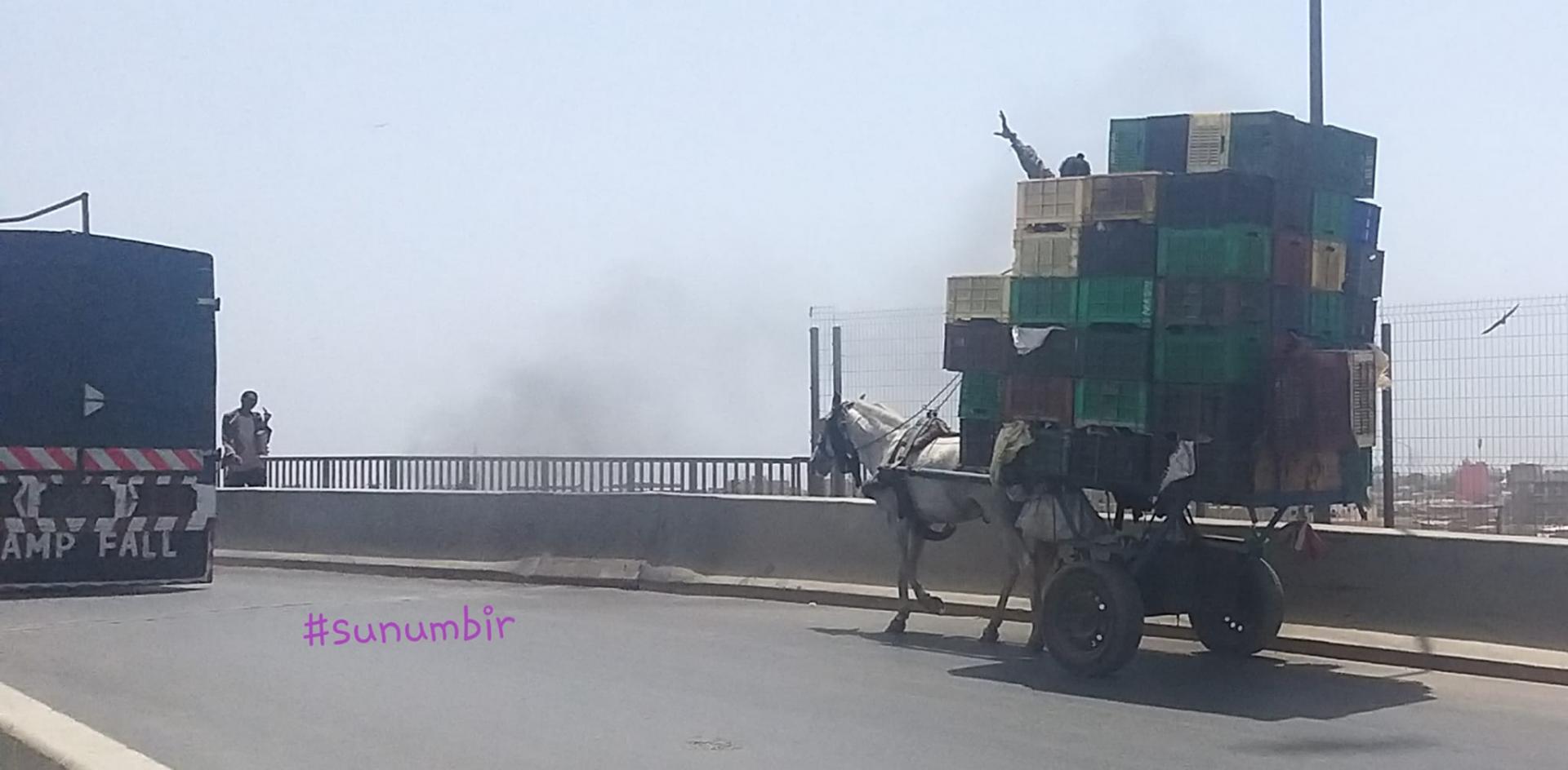 277007014 4880575558656312 8612738396134240538 n