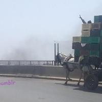 277007014 4880575558656312 8612738396134240538 n