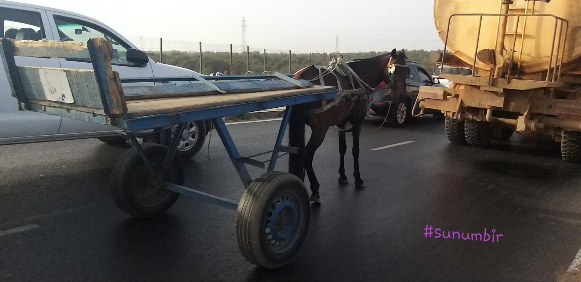 277099136 4875341882513013 8502267874759264474 n