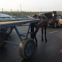 277099136 4875341882513013 8502267874759264474 n