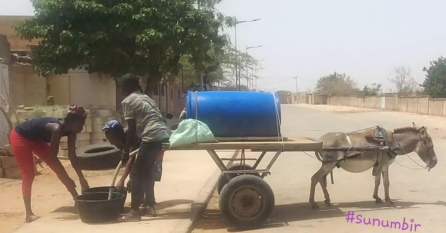 277101638 4872889556091579 2820638730925019283 n