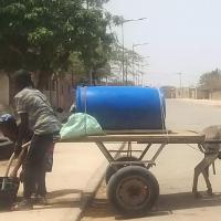 277101638 4872889556091579 2820638730925019283 n