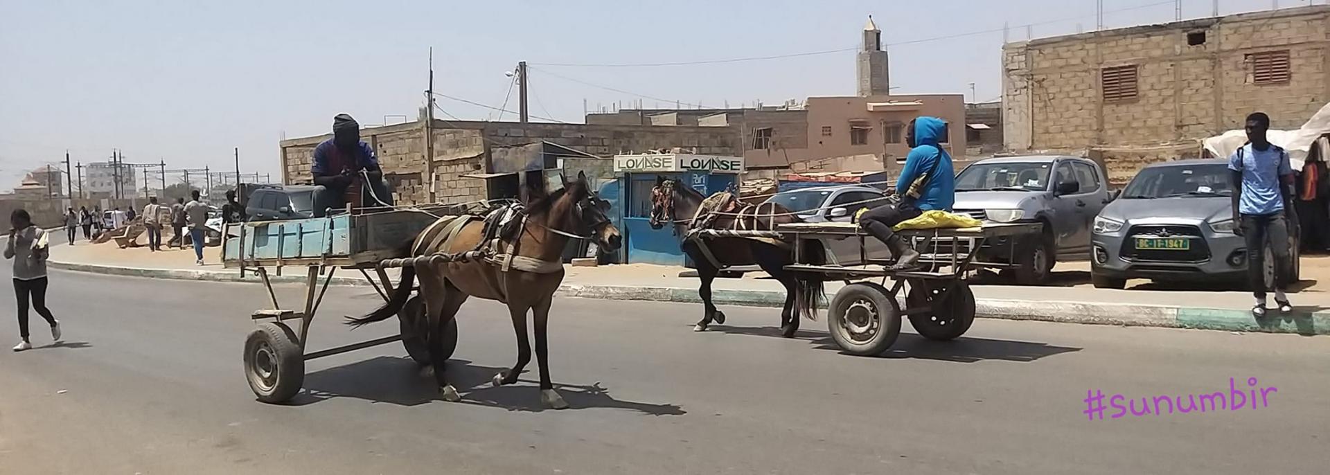 277148756 4877980202249181 9184168152037689513 n