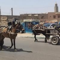 277148756 4877980202249181 9184168152037689513 n