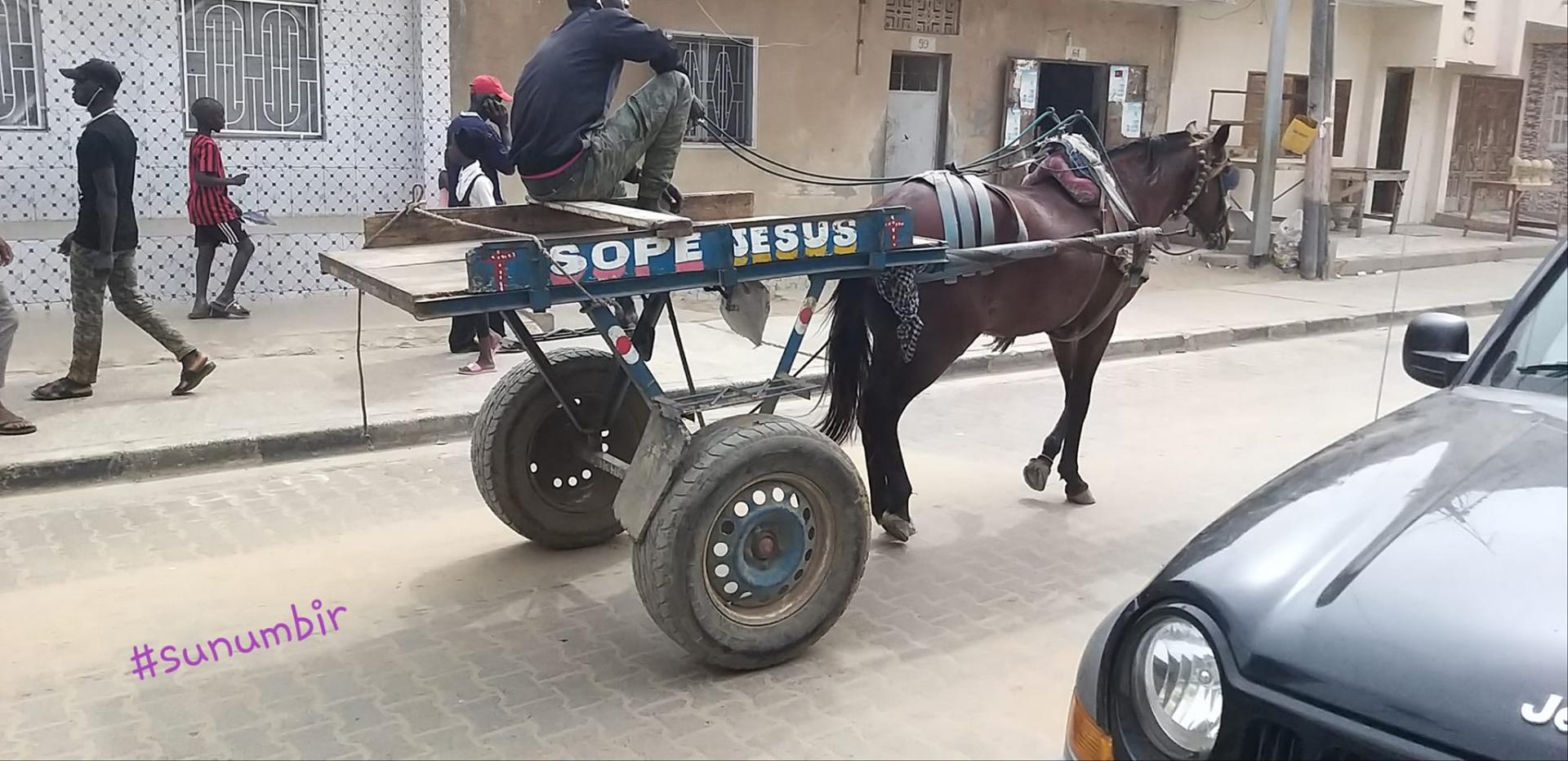 277161067 4879417695438765 1250948638584524253 n