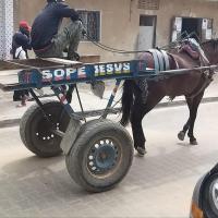 277161067 4879417695438765 1250948638584524253 n