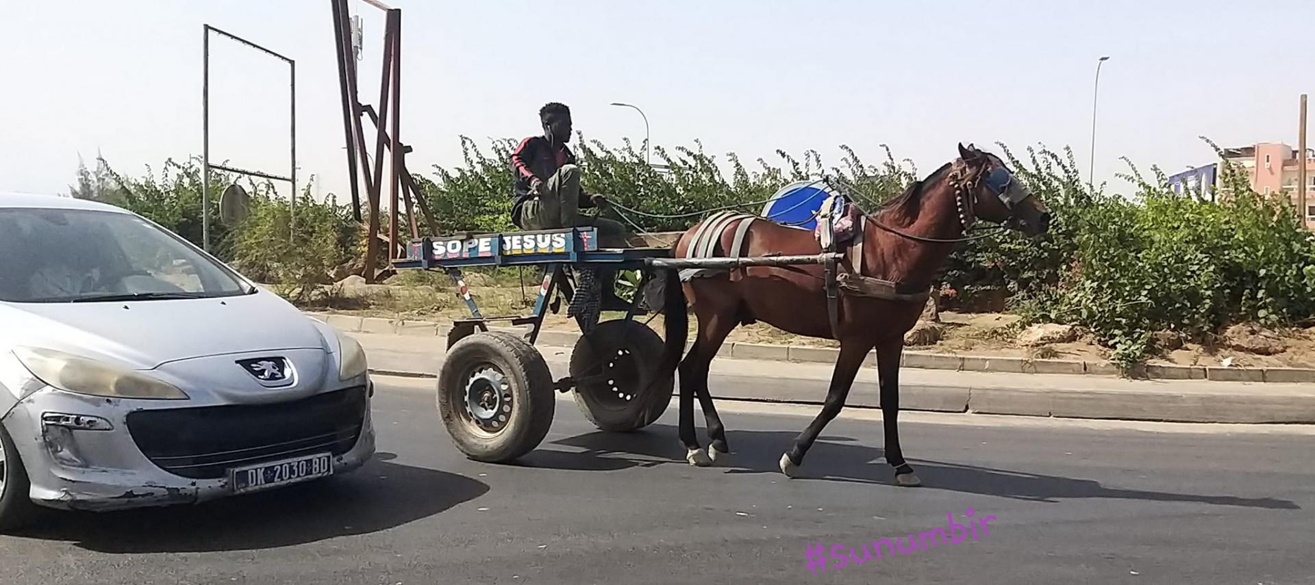 277218570 4879417295438805 3248920470641818029 n