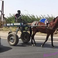 277218570 4879417295438805 3248920470641818029 n