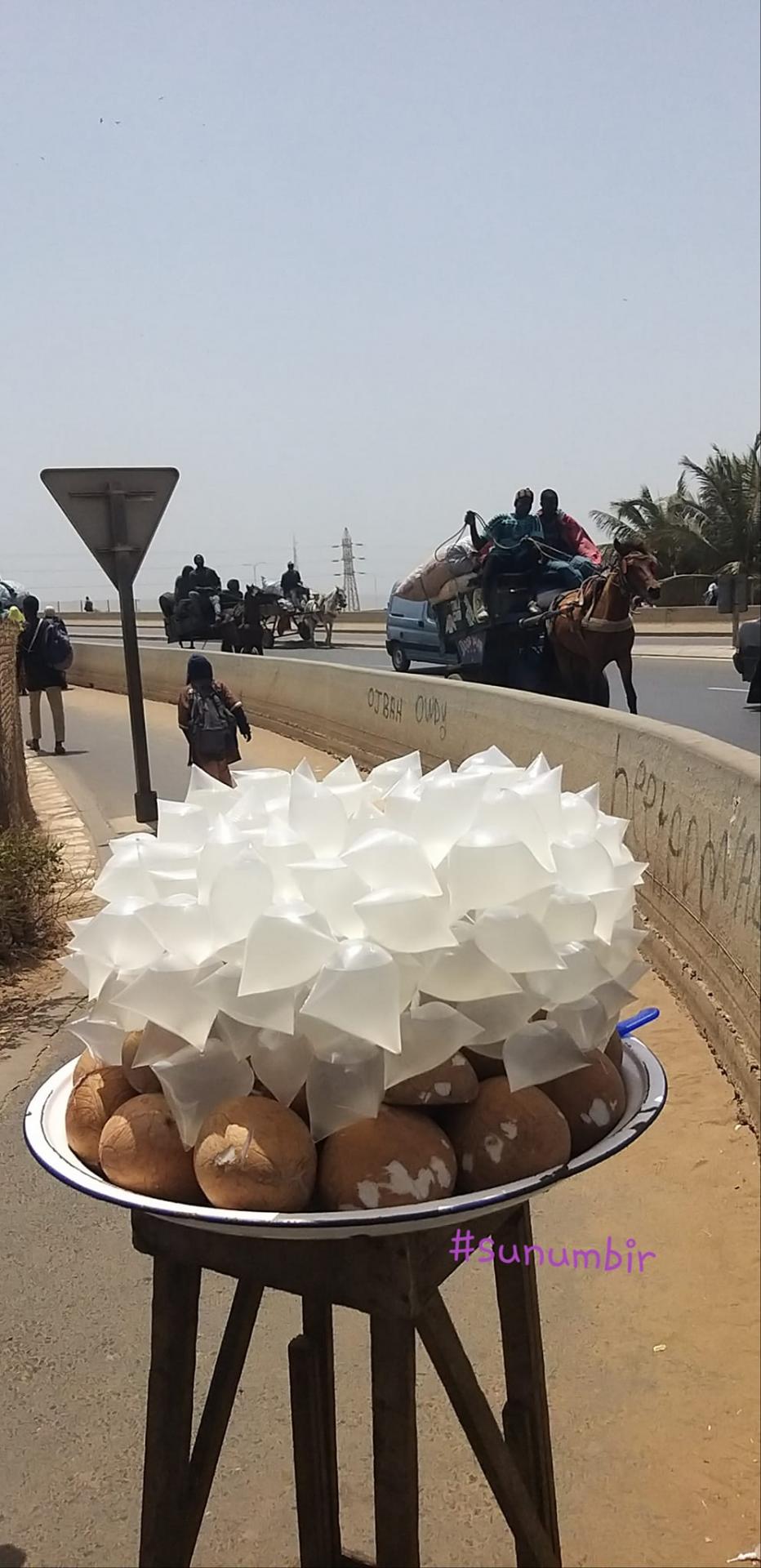 277227490 4876741309039737 4375515701460457970 n