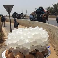 277227490 4876741309039737 4375515701460457970 n