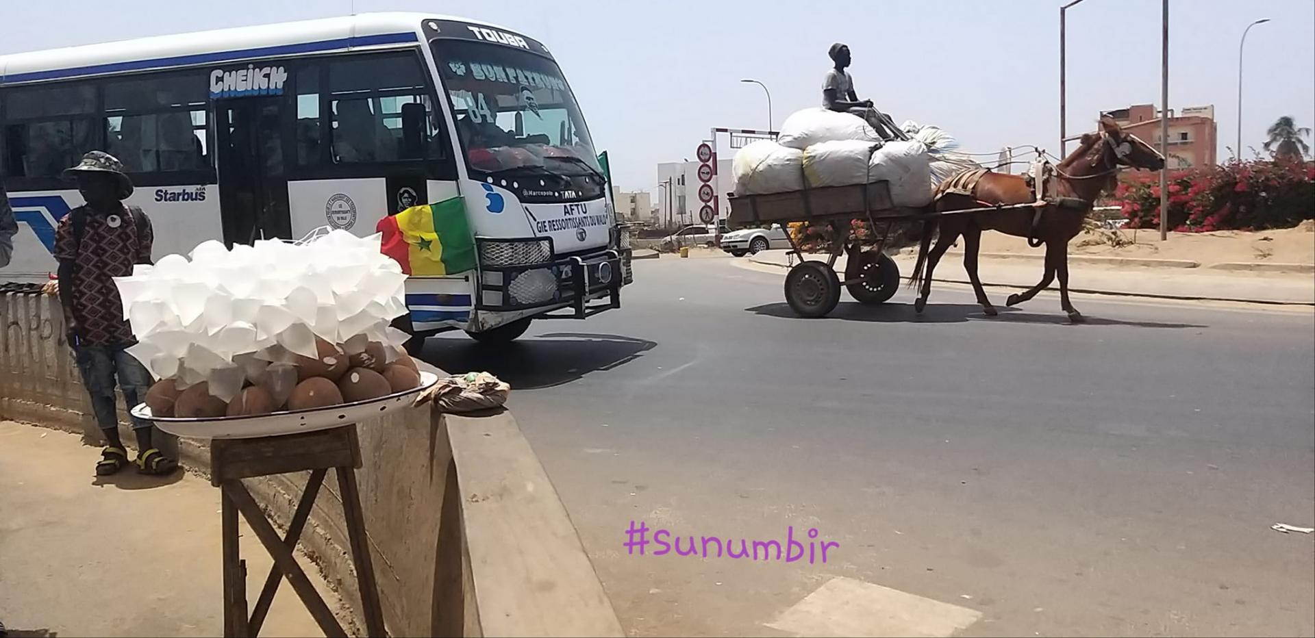 277229385 4886044474776087 6666975636318769848 n