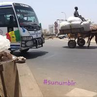 277229385 4886044474776087 6666975636318769848 n