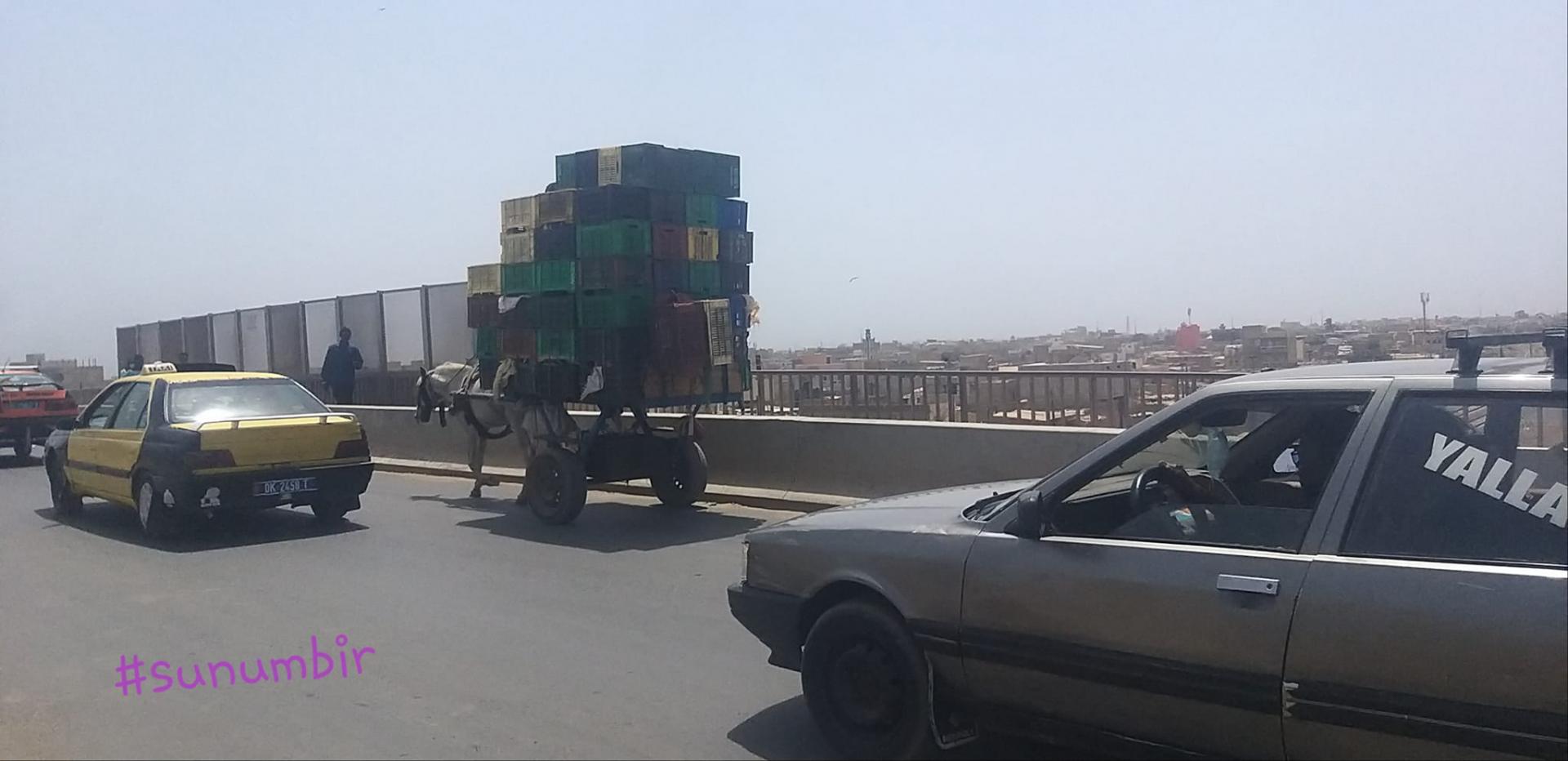 277241875 4880575638656304 259570997414677908 n