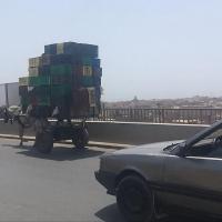 277241875 4880575638656304 259570997414677908 n