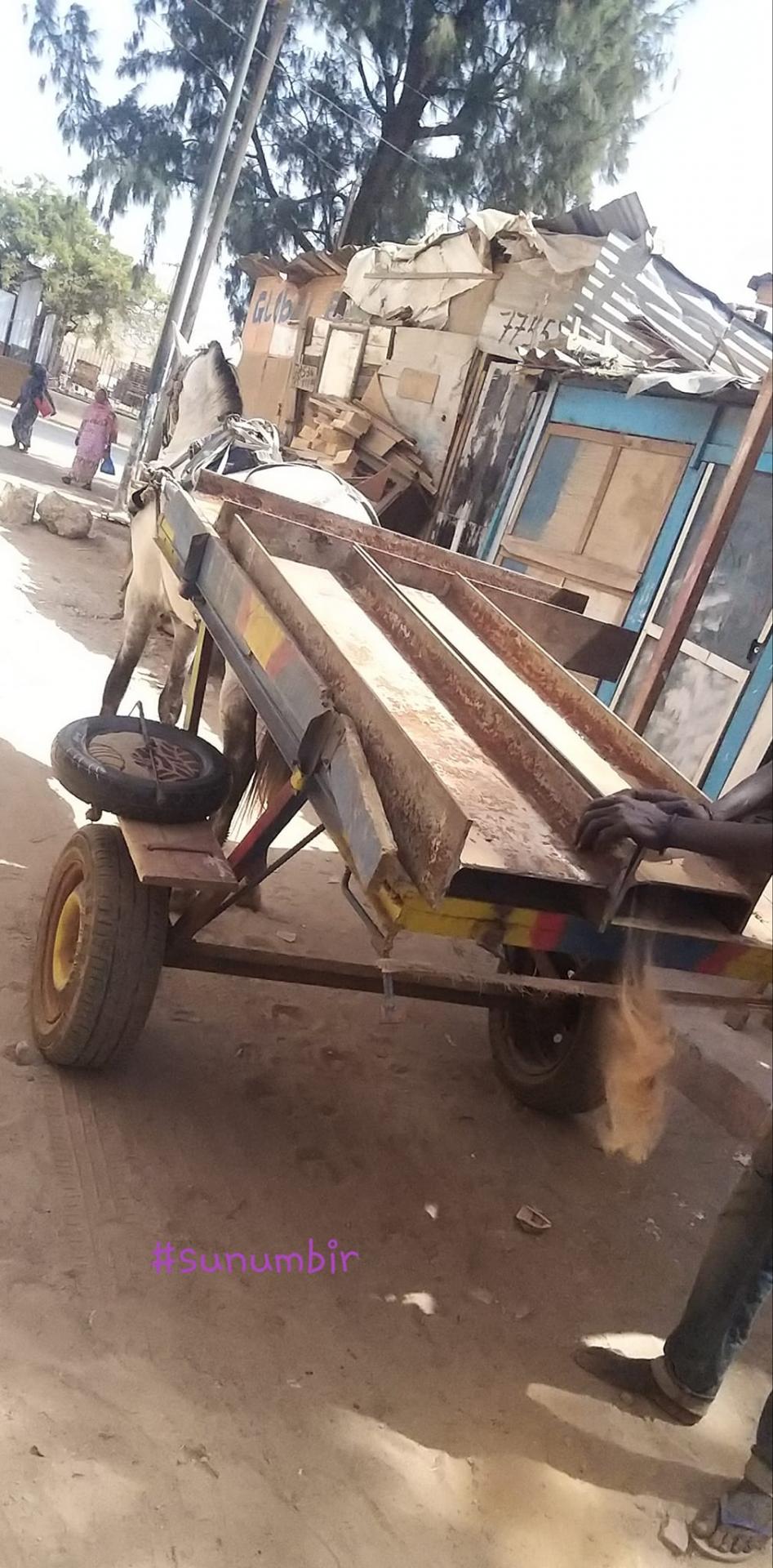 277347318 4883310385049496 5471661936056511953 n