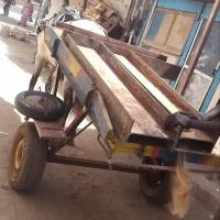 277347318 4883310385049496 5471661936056511953 n