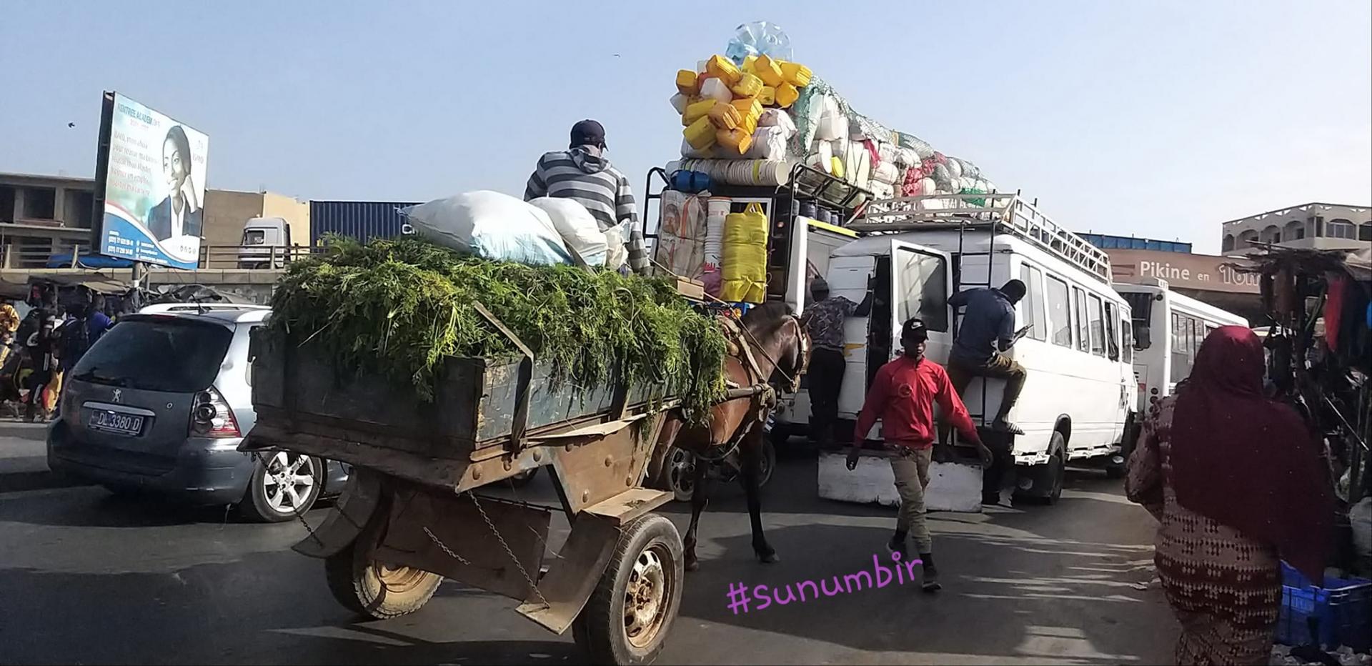 277348151 4895503290496872 3310010568443281017 n