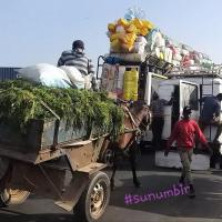 277348151 4895503290496872 3310010568443281017 n