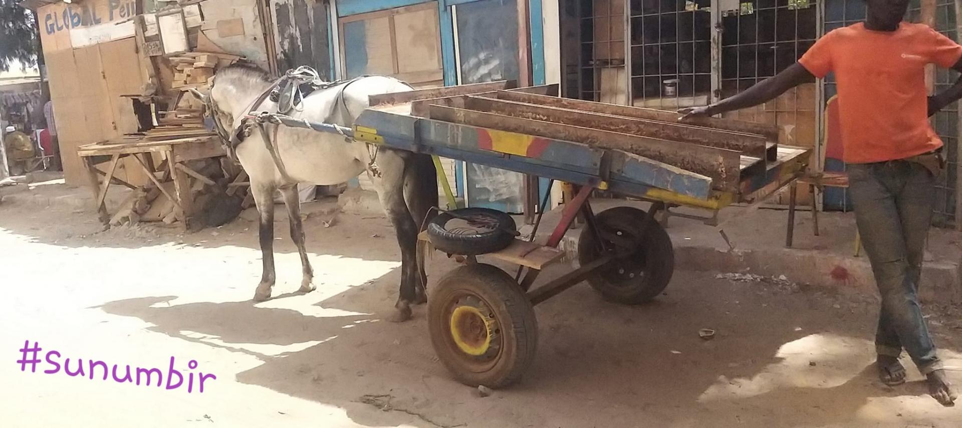 277362683 4883310298382838 3656897224686601989 n