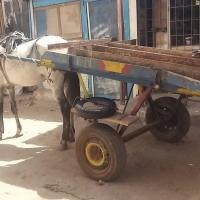 277362683 4883310298382838 3656897224686601989 n