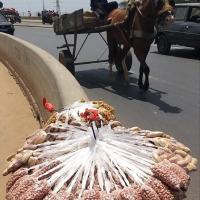 277436773 4884800418233826 3256805210370443591 n