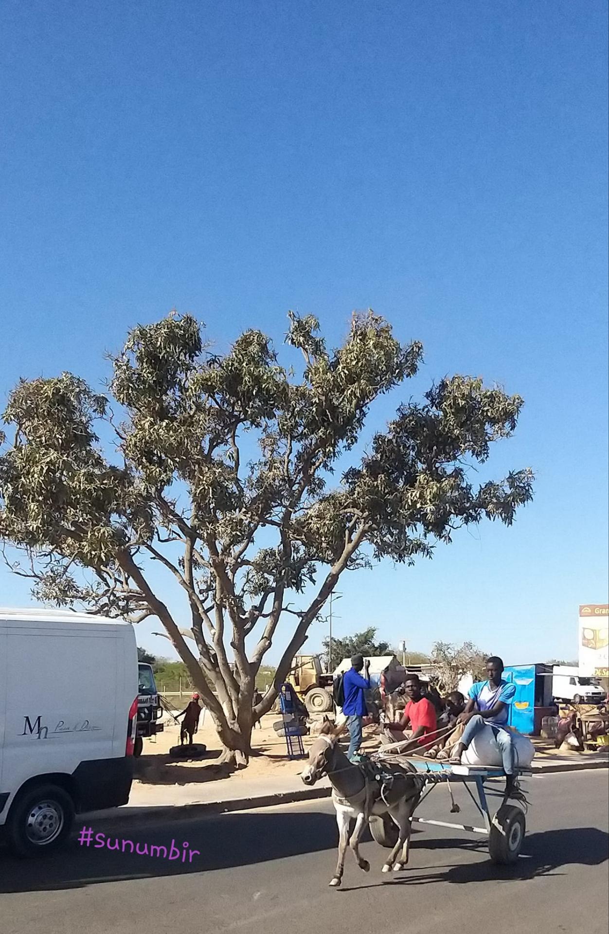 277438989 4887359544644580 7249434375419285134 n