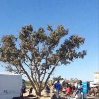 277438989 4887359544644580 7249434375419285134 n