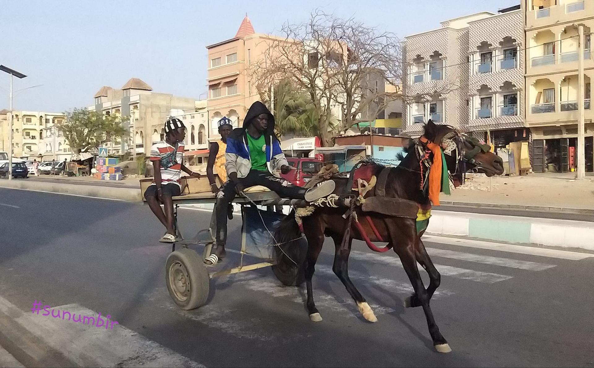 277463603 4891399040907297 1535304958373480012 n