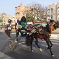 277463603 4891399040907297 1535304958373480012 n