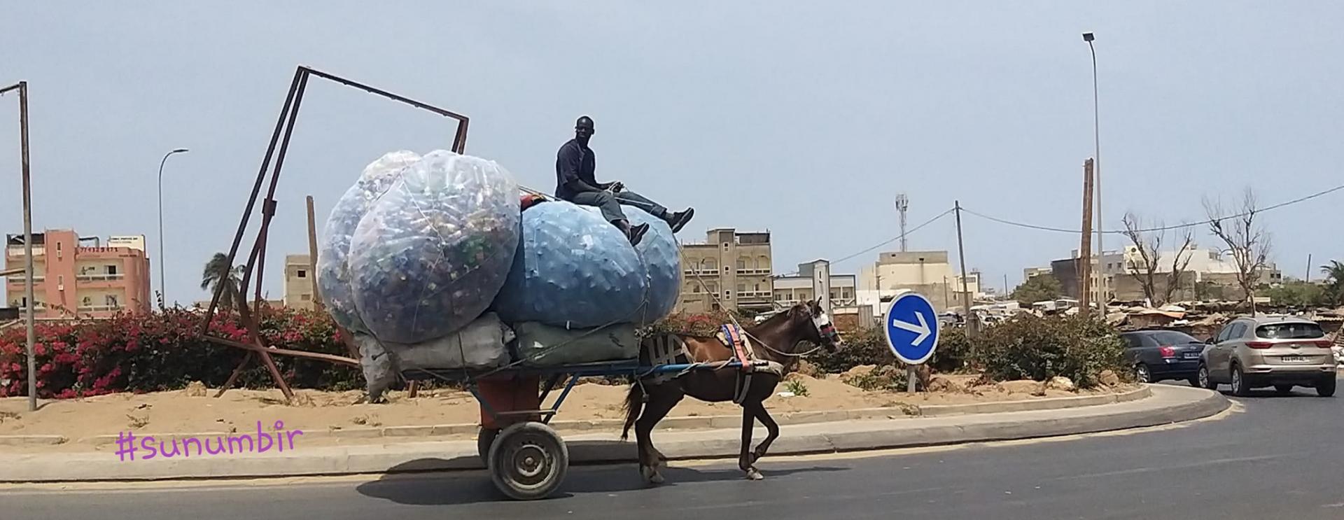 277491189 4892768954103639 8231390220932874676 n