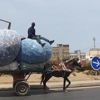 277491189 4892768954103639 8231390220932874676 n