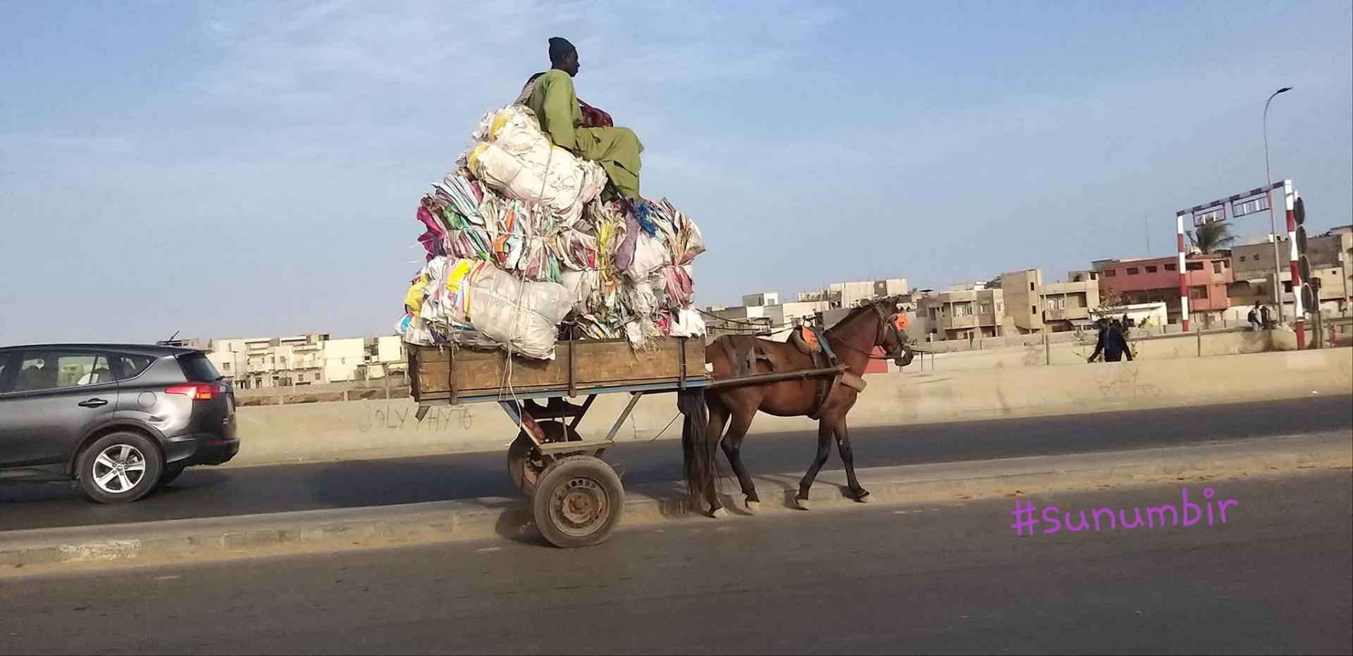 277530140 4893944667319401 8912785504262948929 n