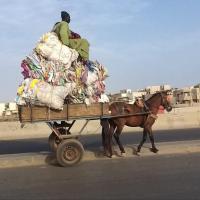 277530140 4893944667319401 8912785504262948929 n