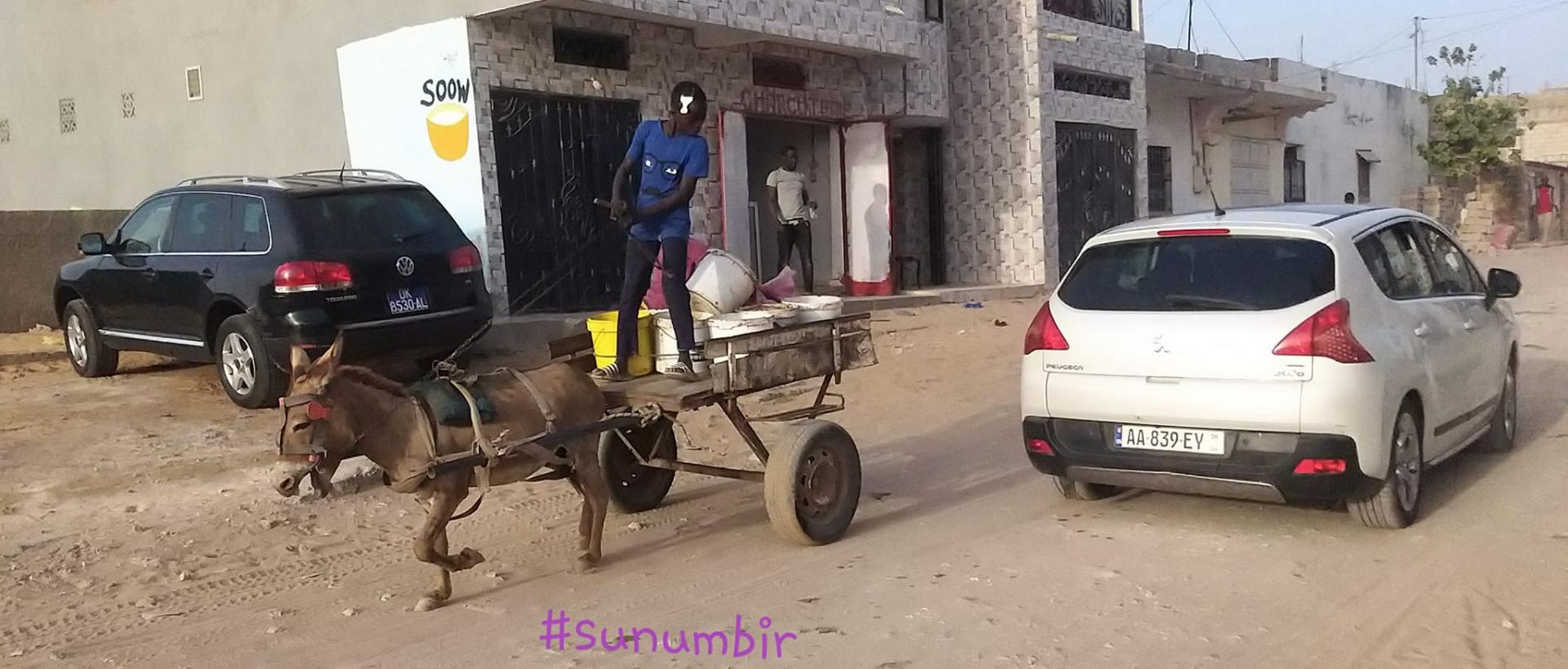 277536059 4890284537685414 3768441868120528572 n