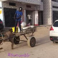 277536059 4890284537685414 3768441868120528572 n