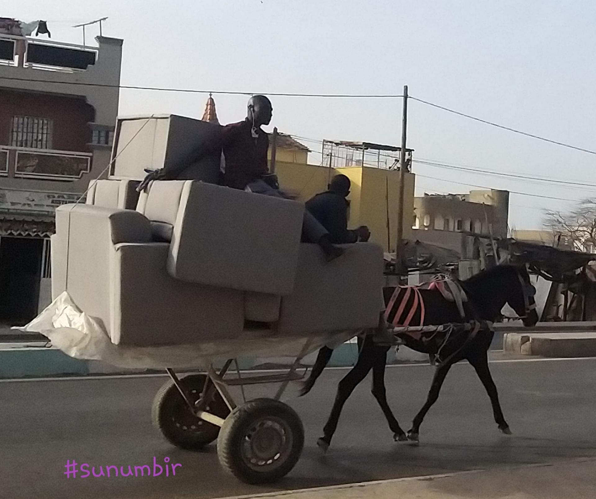 277555005 4896668097047058 269407548059176706 n