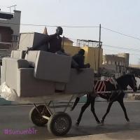 277555005 4896668097047058 269407548059176706 n