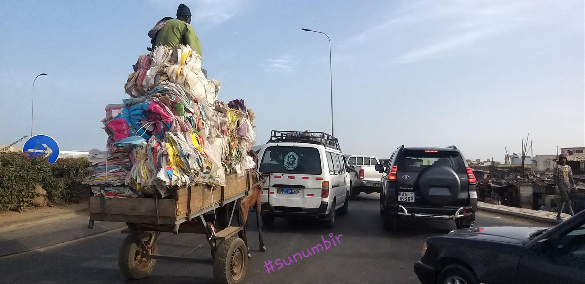 277556231 4893944737319394 7904647667664530452 n