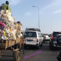 277556231 4893944737319394 7904647667664530452 n