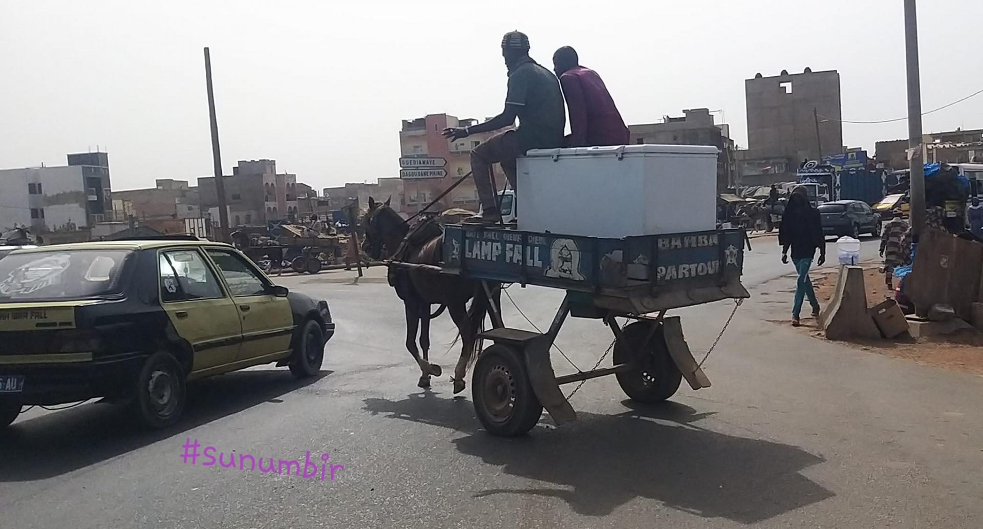 277565346 4898120913568443 4068335462206126045 n