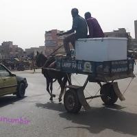 277565346 4898120913568443 4068335462206126045 n