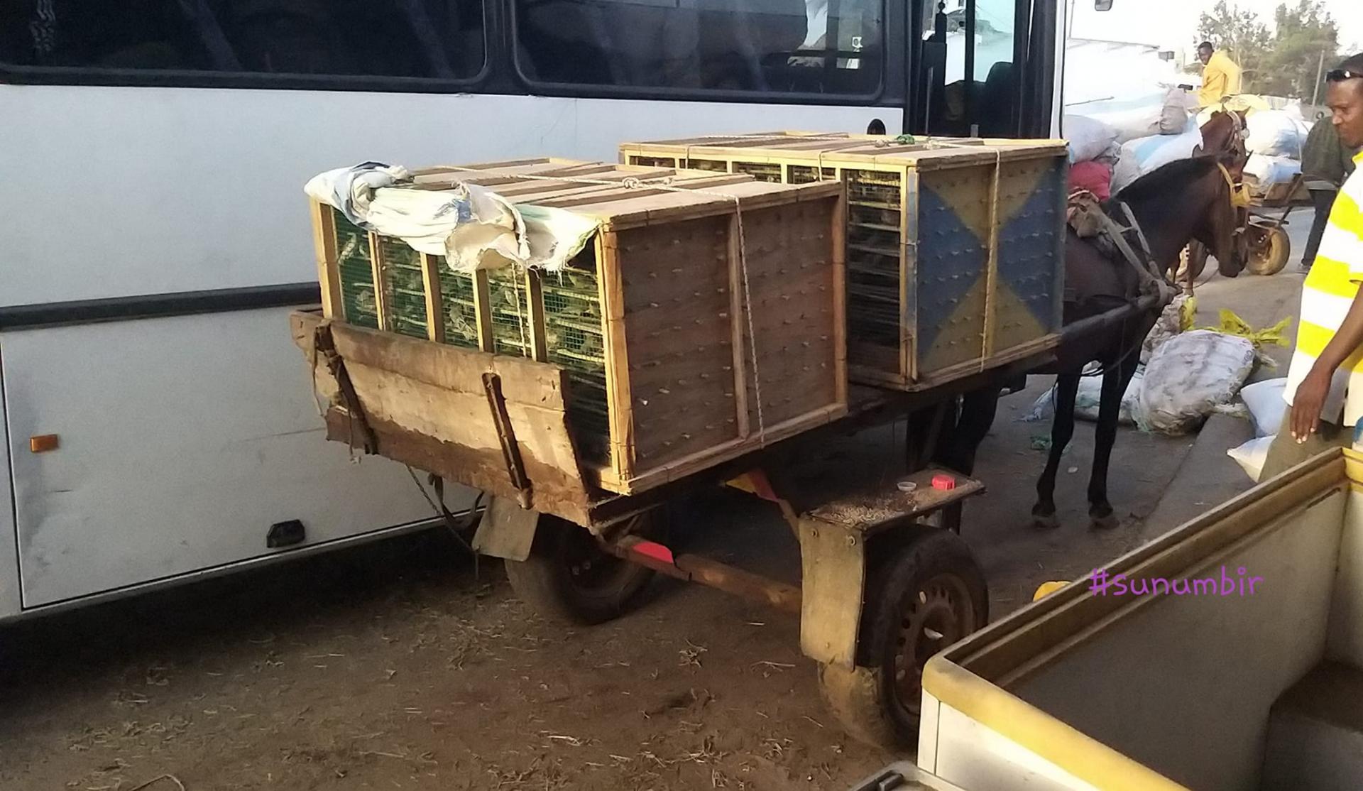 277568044 4888781351169066 7784546985026519435 n