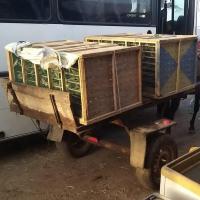 277568044 4888781351169066 7784546985026519435 n