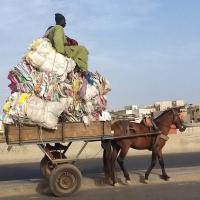 277573007 4893944573986077 2724951076078151614 n