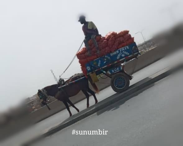 277576104 4902927709754430 6345613466905419144 n