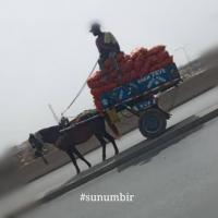 277576104 4902927709754430 6345613466905419144 n