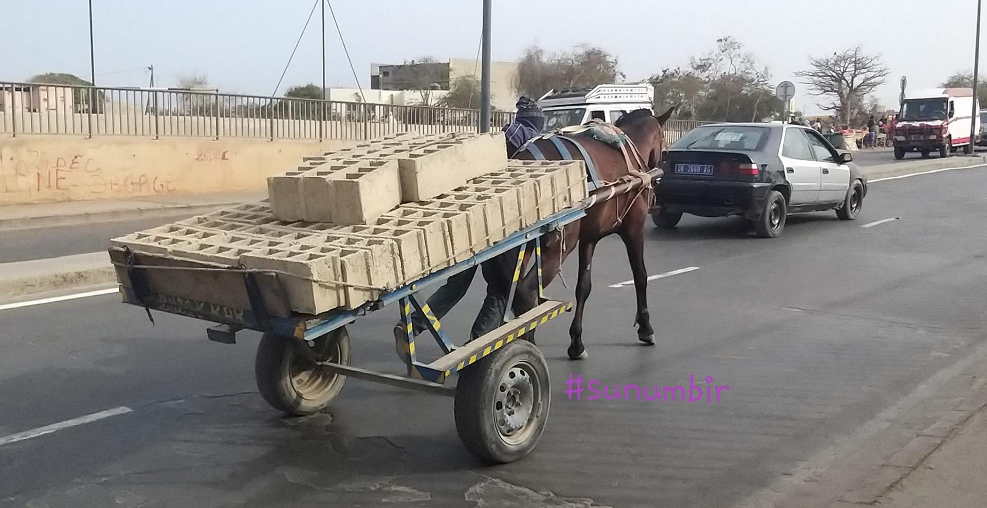 277727283 4899205363459998 1867593923869904223 n