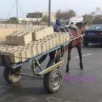 277727283 4899205363459998 1867593923869904223 n